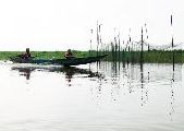 Foto: Women of the Tribe and Search of Freshwater Dolphins in Borneo